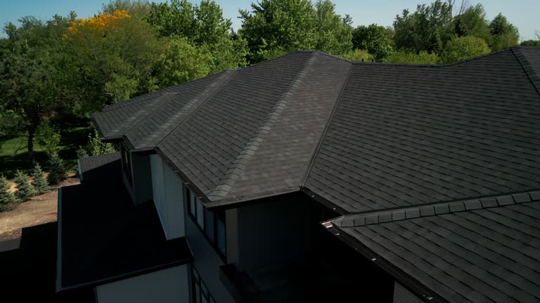Best Chimney Flashing Repair  in Belle Glade, FL