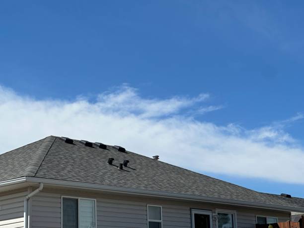 Best Hot Roofs  in Belle Glade, FL